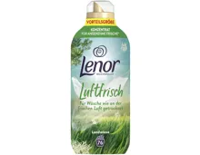 Lenor Landwiese 76 Waschgänge