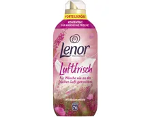 Lenor Wildblumenfeld 76 Waschgänge
