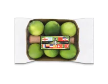 Limetten 6 Stück mit Stössel