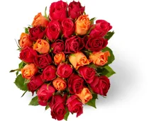 M-Classic Minirosen, Fairtrade