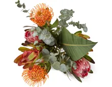 M-Classic Protea-Strauss