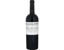Magallanes 75 cl