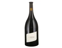 Magnum Valais AOC Syrah Cayas Jean-René Germanier (2022) – Rotwein, Schweiz