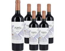 Malbec Uco Valley Punta de Flechas Flechas de los Andes 6x 75cl (2023) – Rotwein, Argentinien (0.75l)