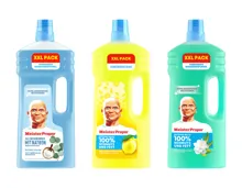 Meister Proper Allzweck-Reiniger