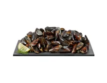 Miesmuscheln MSC 2kg