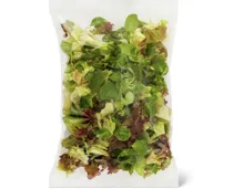 Migros Bio Wintersalat