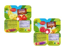 MILBONA Fruit King 2 in 1