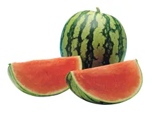 Mini-Wassermelonen
