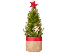 Mini-Weihnachtsbaum