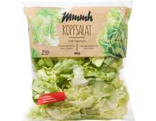 Mmmh Kopfsalat
