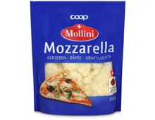 Mollini IP-Suisse Mozzarella gerieben