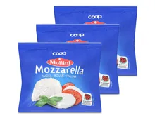 Mollini Mozzarella IPS 3x150g