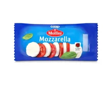 Mollini Mozzarella Stange IPS 2x300g