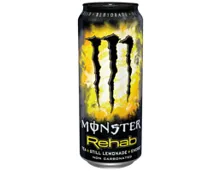 MONSTER ENERGY Lando Norris