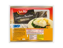 MSC Stockfisch Filet