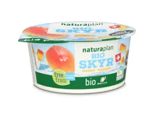 Narturaplan Bio FSI Skyr Mango