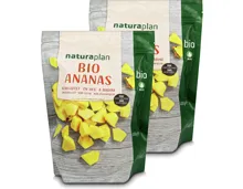 Naturaplan Bio Ananas Würfel Fairtrade 2x400g