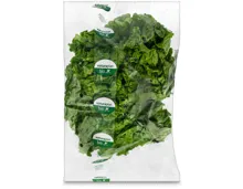 Naturaplan Bio Batavia-Salat 1 Stück