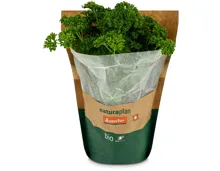 Naturaplan Bio Demeter Peterli gekraust im Topf