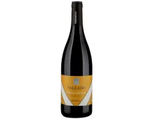 Naturaplan Bio Douro DOC Quinta do Vallado (2022) – Rotwein, Portugal (0.75l)