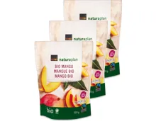 Naturaplan Bio Fairtrade Mango 3x120g