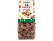 Naturaplan Bio gebrannte Mandeln