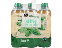 Naturaplan Bio Ice Tea Thé Vert Menthe 6x1l