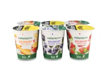 Naturaplan Bio Joghurt Mango Heidelbeere & Erdbeere 6x180g