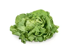 Naturaplan Bio Kopfsalat grün 1 Stück