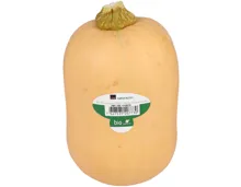 Naturaplan Bio Kürbis Butternuss klein St