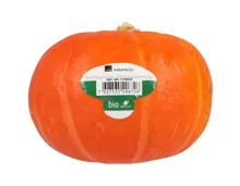 Naturaplan Bio Kürbis oranger Knirps klein St