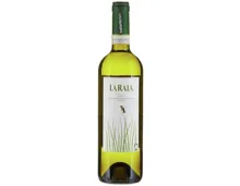 Naturaplan Bio La Raia Gavi Docg (2025) – Weisswein, Italien (0.75l)