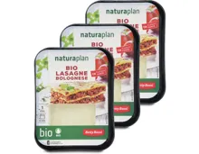 Naturaplan Bio Lasagne Bolognese 3x 400g
