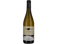 Naturaplan Bio Pecorino Jasci Terre di Chieti IGT (2025) – Weisswein, Italien (0.75l)