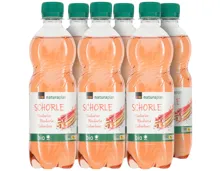 Naturaplan Bio Rhabarber-Schorle 6x 50cl