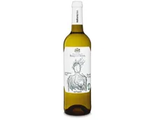Naturaplan Bio Rueda DO Sauvignon Blanc Marqués de Riscal (2024) – Weisswein, Spanien (0.75l)