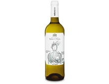 Naturaplan Bio Rueda DO Sauvignon Blanc Marqués de Riscal (2025) – Weisswein, Spanien (0.75l)