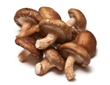 Naturaplan Bio Shiitake-Pilze ca. 100g