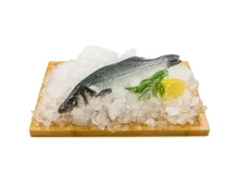 Naturaplan Bio Wolfsbarsch