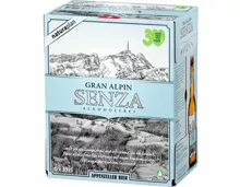 Naturaplan Gran Alpin Senza Bier alkoholfrei 6x33cl