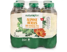 Naturaplan Organic Alpine Herbal Tea 6x50cl