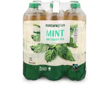 Naturaplan Organic Mint Green Ice Tea 6x1.5l