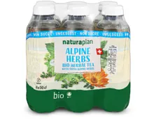 Naturaplan Organic ungesüsst Alpen Herb Ice Tea 6x50cl