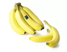 NATURE ACTIVE BIO Fairtrade Max Havelaar-Bio-Bananen