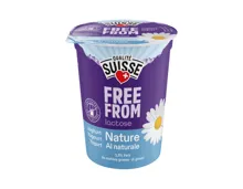 Naturjoghurt laktosefrei
