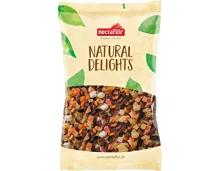 Nectaflor Trockenfrüchte Natural Delights Südseemischung