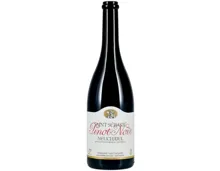 Neuchâtel AOC Pinot Noir Domaine Saint-Sébaste (2023) – Rotwein, Schweiz (0.75l)