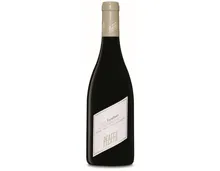 Niederösterreich Excellent Réserve Pfaffl (2022) – Rotwein, Österreich (0.75l)