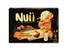 Nuii Texan Pecan 4x90ml
